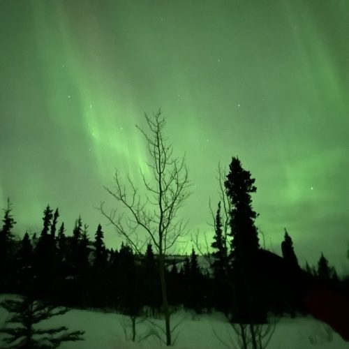 auroras16 (1)